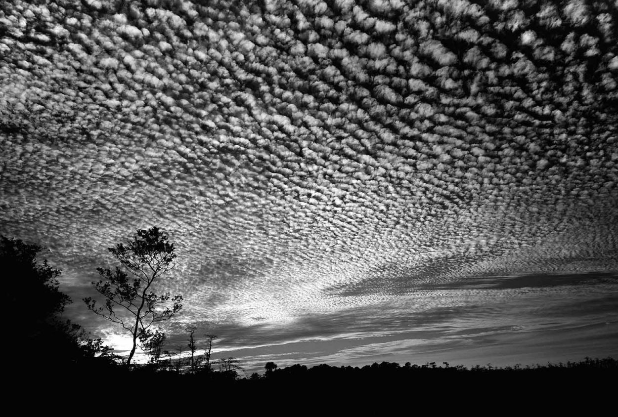 Visions of Florida ExhibitDAYTONA BEACH, FL Clyde Butcher Black