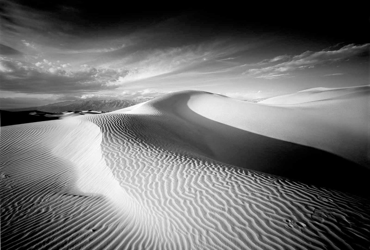 Sand Dune 19