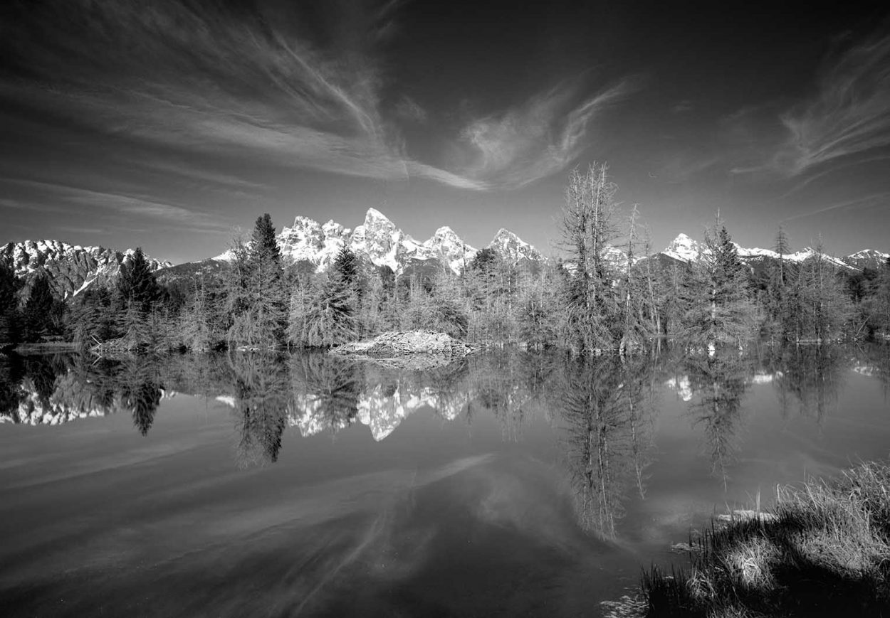 TETON BEAVER POND © 2006 – Clyde Butcher | Black & White Fine Art