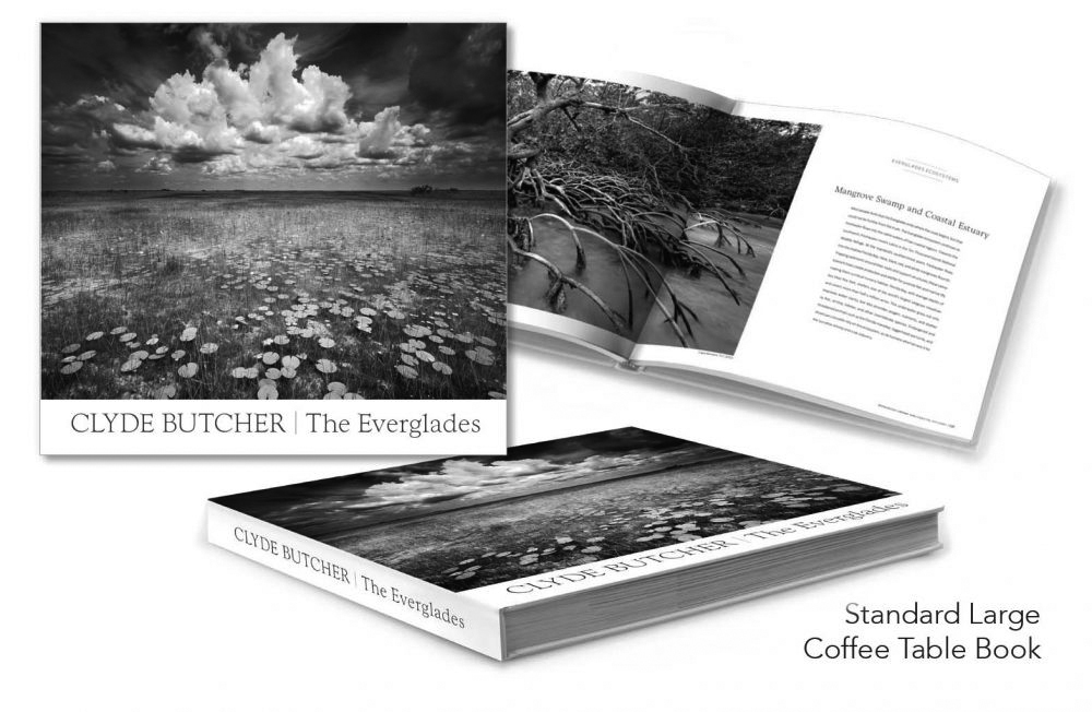 The Everglades New Book Clyde, Oversized Black Coffee Table Books
