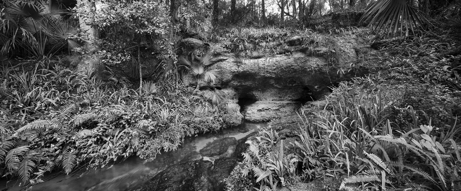  ROCK  SPRINGS 1  2022 Clyde Butcher  Black  White  Fine 